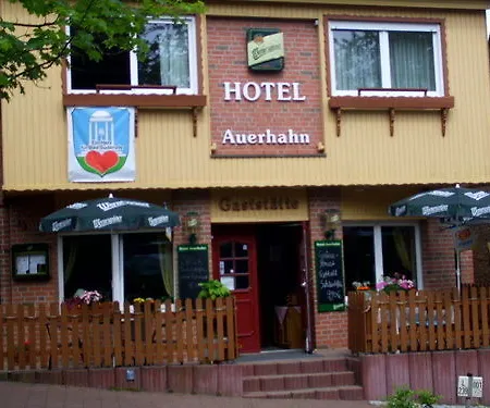 Auerhahn Hotel Bad Suderode