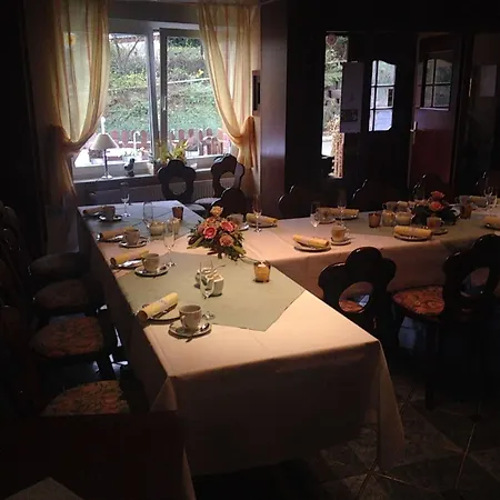 Hotell Auerhahn Bad Suderode