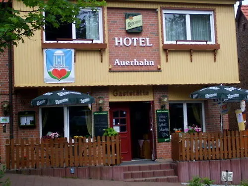 Auerhahn Hotell Bad Suderode